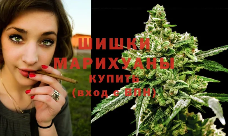 Бошки марихуана THC 21%  Павловский Посад 